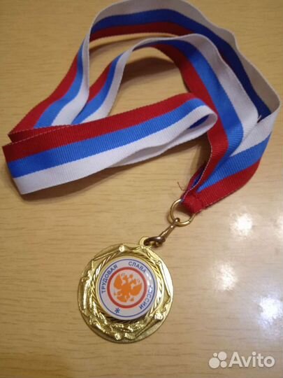 Награды за 1 место и трудовая слава России