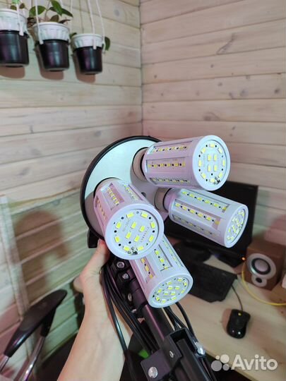 Софтбокс 50*70 с лампами