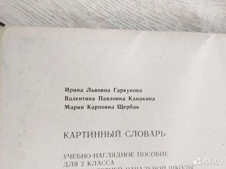 Картинный словарь