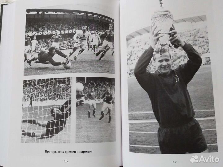 Книга В.Асаулов Вратарь мира