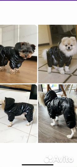 Комбинезон XL на собачку Новый