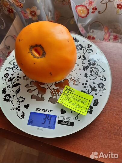 Семена коллекционных томатов