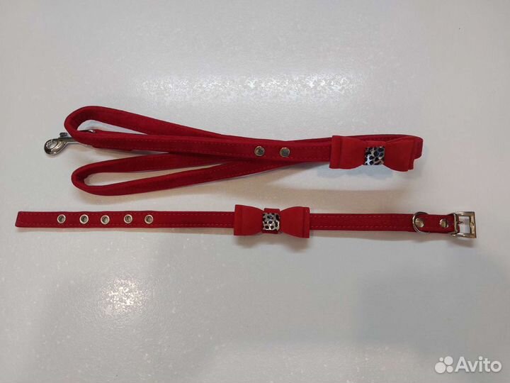 Ошейник и поводок-набор