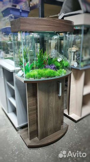 Гнутые аквариумы