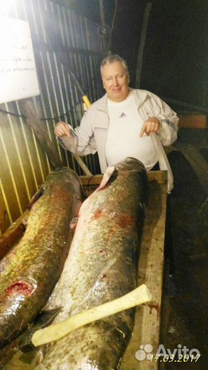 Продаю прогресс-4, меркурий-50