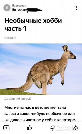 Напишу сочинение, эссе, статью