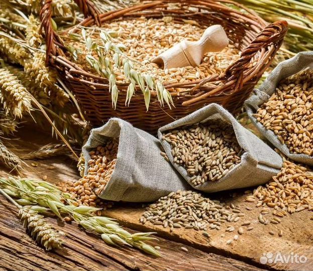 Комбикорм, отруби, зерно,крупы,мука