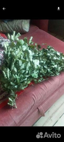 Веники для бани