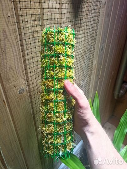 Тотем для растений