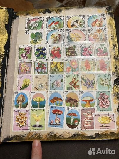 Альбом с марками флора