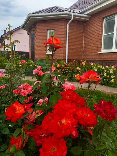 Дом 122 м² на участке 9 сот.