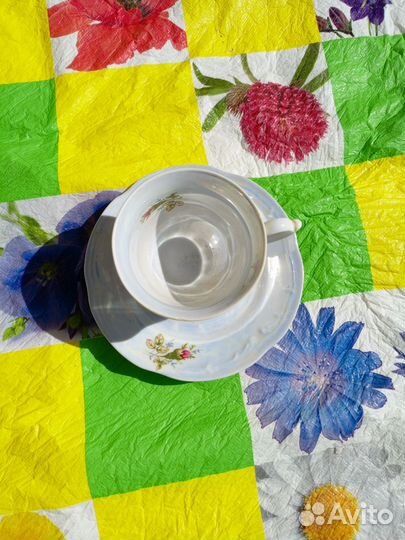 Чашка Польша