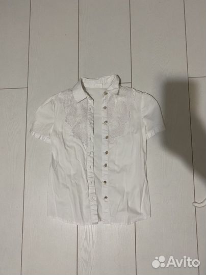 Блузка Акула