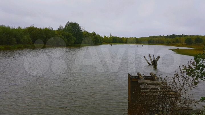 Участок 22,4 га (СНТ, ДНП)