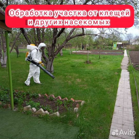 Уничтожение клопов травить тараканов дезинфекция