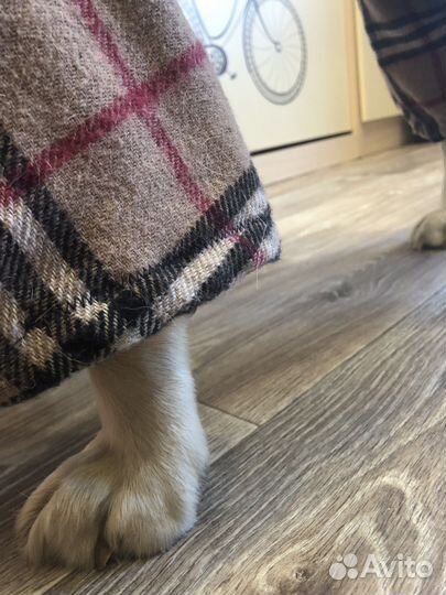 Куртка для собак