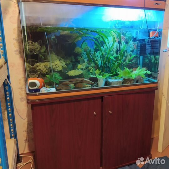 Помпа атман 201, аквариум 240 л