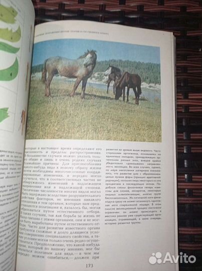 Происхождение видов путем естественного отбора. Да