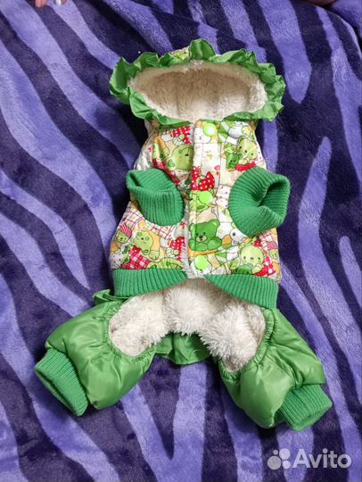 Одежда для животных