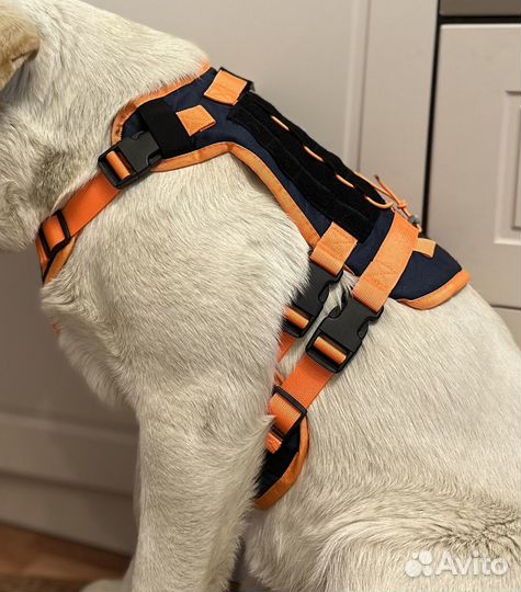 Шлейка для собак крупных и средних пород