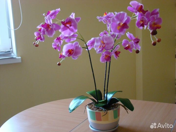 Цветок орхидея (искусств.)