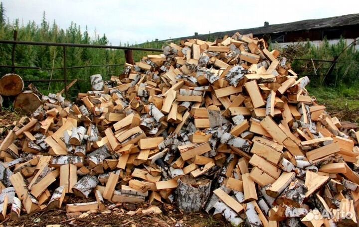 Дрова осина