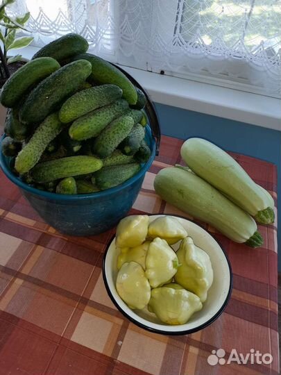 Продаю огурцы