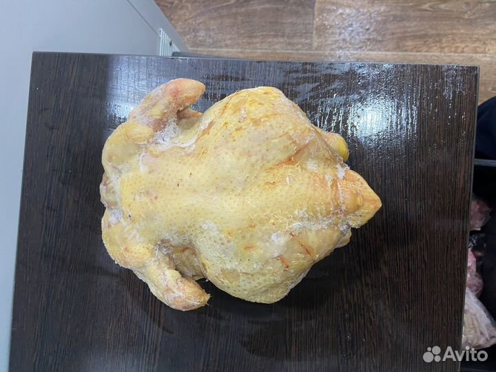Куры домашние