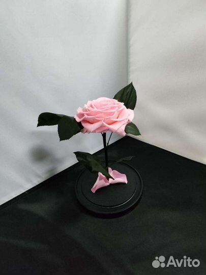 Роза в колбе оптом