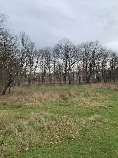 Участок 43 сот. (ИЖС)