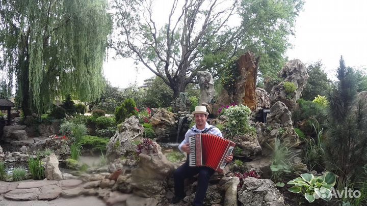Аккордеонист Баянист Гармонист на праздники