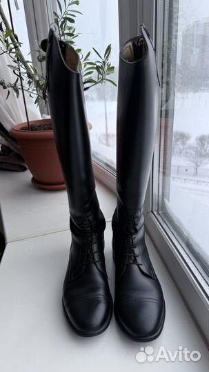 Сапоги для верховой езды Petrie