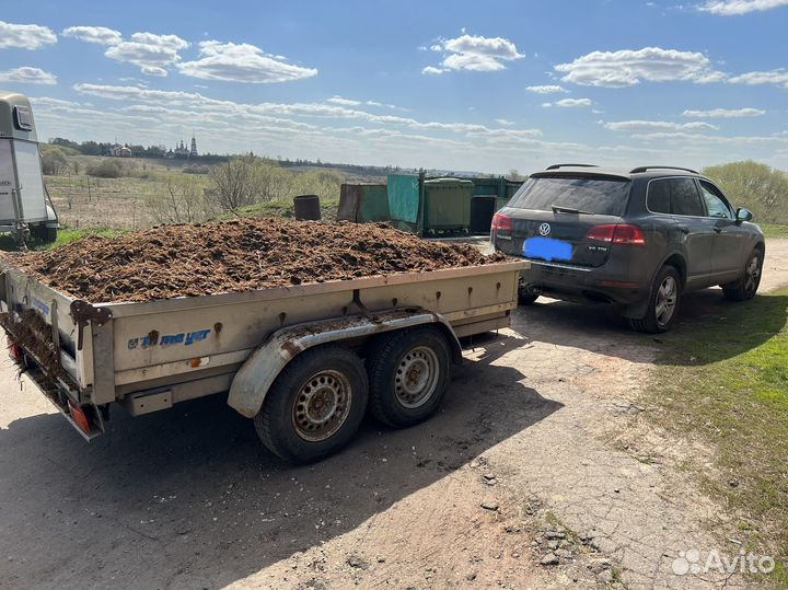 Конский навоз