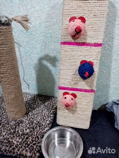 Когтеточка