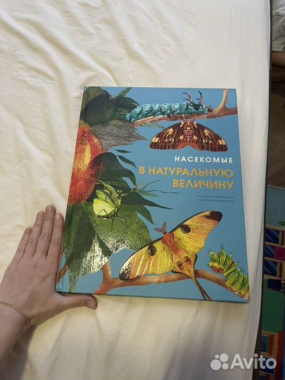 Насекомые в натуральную величину книга