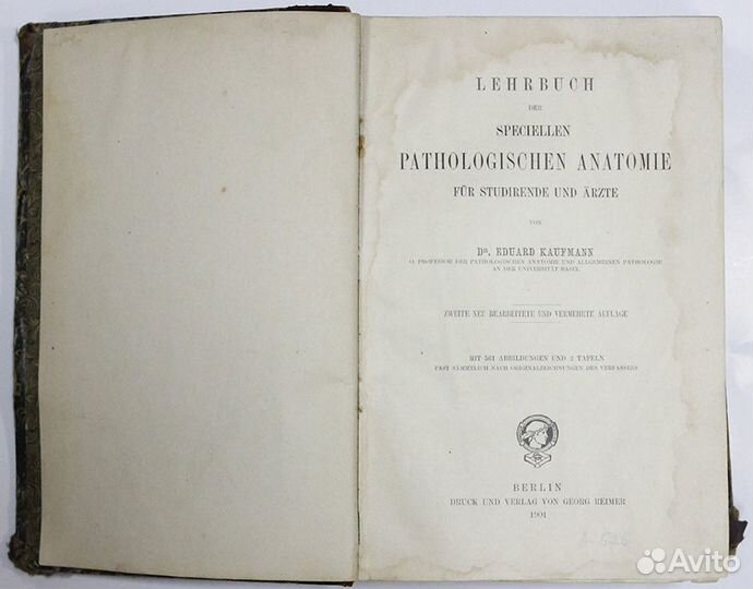 Книга Анатомия 1901