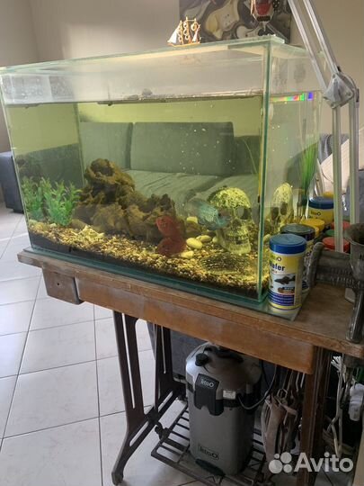 Аквариум с рыбками и фильтром