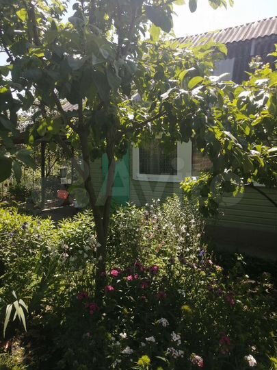 Дача 33 м² на участке 4,1 сот.