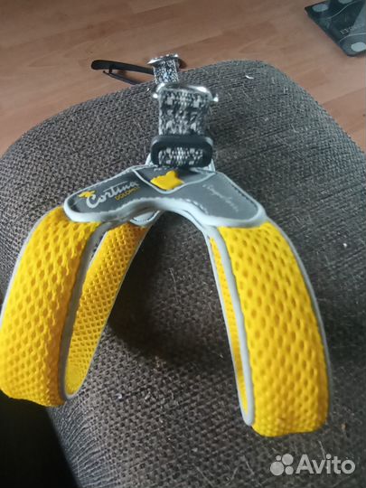 Шлейка для маленькой собаки