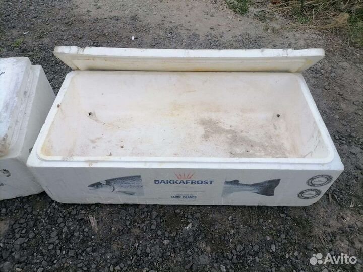 Коробка пенопластовая