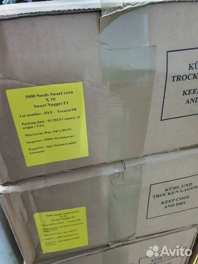 Семена Кукурузы 