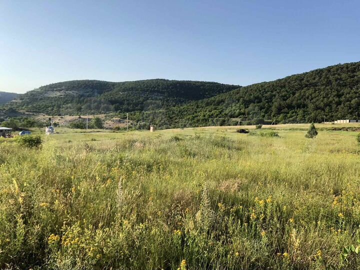 Участок 9 сот. (СНТ, ДНП)