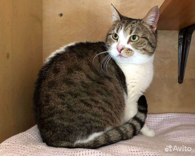 Марсела ищет дом