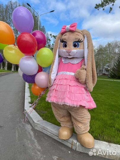 Аниматор Мишка Тедди и зайка на праздник