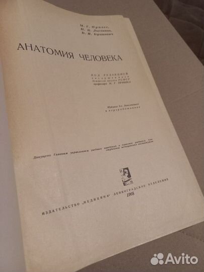 Анатомия человека