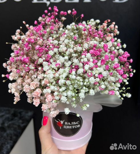 Гипсофила цветы доставка