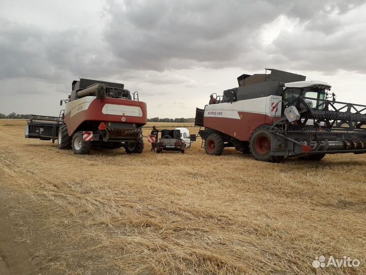 Услуги по уборке урожая 2024