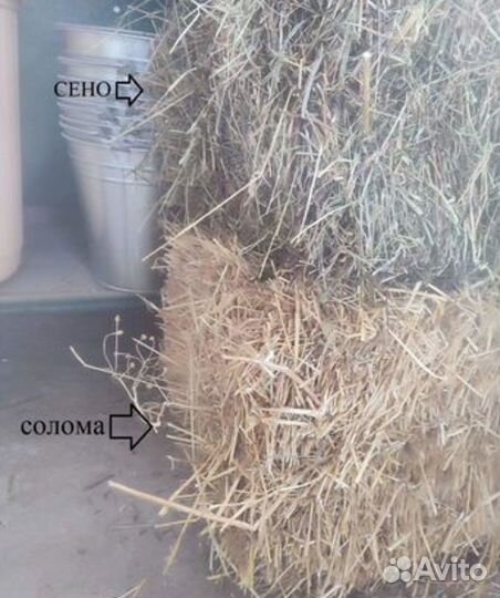 Сено и солома в тюках