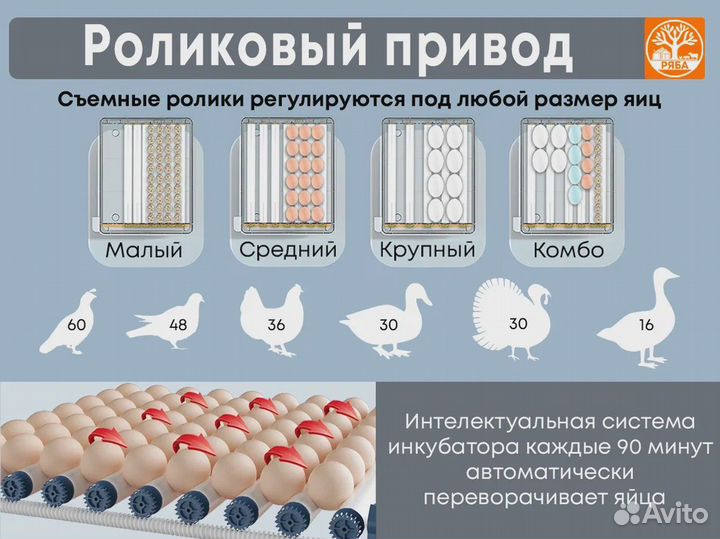 Инкубатор для яиц автоматический. Новый. Ряба 36