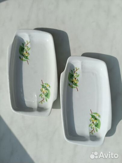 Селедочница вербилки